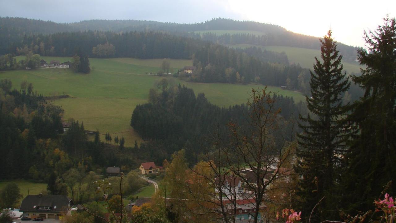 Haus Koenigshofer Leilighet Sankt Kathrein am Hauenstein Eksteriør bilde